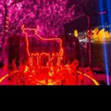 Handa Opera on Sydney Harbour Presents CARMEN, 2017