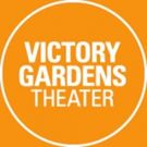 Cast Announced for THE HOUSE THAT WILL NOT STAND at Victory Gardens