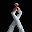 BWW Review: SATELLITE COLLECTIVE Whirls at BAM