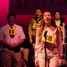 BWW Review: 25th ANNUAL PUTNAM COUNTY SPELLING BEE at Clear Space Theatre Company