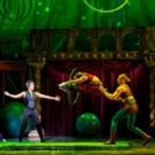 BWW Reviews: PIPPIN National Tour at Durham Performing Arts Center