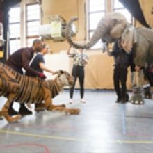Photo Flash: Sneak Peek at RUNNING WILD in Rehearsal at Regent's Park Open Air…