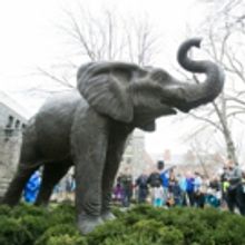 BWW Blog: Christopher Panella - Applying for College and Choosing Your Path