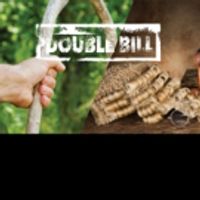 BWW Review: DOUBLE BILL: BASTIEN UND BASTIENNE AND LA CHANSON DE FORTUNIO Brings Toge Photo