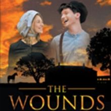 Mark Hopkins Releases 'The Wounds of War: A Sequel to 'Journey to Gettysburg'