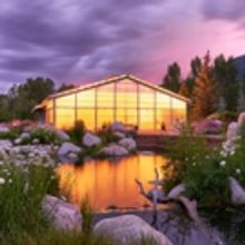 Theatre Aspen Season Passes On Sale Now