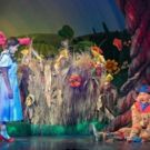 BWW Review: Wonderful Reimagined WIZARD OF OZ at State Theatre