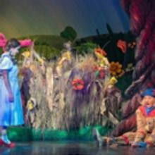 BWW Review: Wonderful Reimagined WIZARD OF OZ at State Theatre