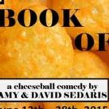 The Vanguard Presents Amy & David Sedaris' THE BOOK OF LIZ, Now thru 6/28