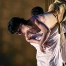 Cherylyn Lavagnino Dance's 2016 Season Begins Today at NYU/Tisch