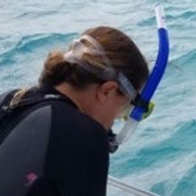 ARTSail's First Resident Artist Casts His Net On Climate Change Issues