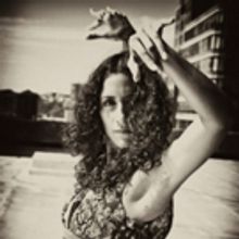 Barbara Martinez Trio Presents FLAMENCO & BEYOND