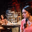 Photo Flash: New Shots from The Hypocrites' THE GLASS MENAGERIE