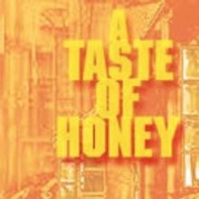 Kim Rubinstein to Direct A TASTE OF HONEY at Odyssey Theatre