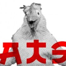 For the First Time Ever, BATSU! Features Female Comedic Warrior