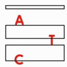 Actors Touring Company Appoints Associate Director