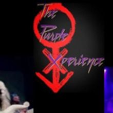 Prince Tribute Band The Purple Xperience to Perform at Four Winds New Buffalo This…