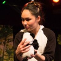 BWW Review: Fantastic Z's BAD PANDA Examines Alternative Families Photo