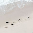 Artist Zack Seckler Joins ClampArt With SOUTH AFRICA, 4/13-5/27