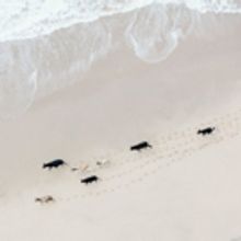 Artist Zack Seckler Joins ClampArt With SOUTH AFRICA, 4/13-5/27