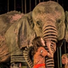 Michael Morpurgo's Elephants Will Be RUNNING WILD in Wolverhampton