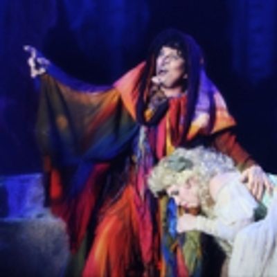 Photo Flash: First Look at Jacquelyn Piro Donovan, Laurel Harris, Jennifer Cody and More in NCT's INTO THE WOODS