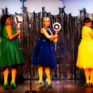 BWW Review: Springhouse Theatre's THE MARVELOUS WONDERETTES