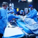 BWW Recap: GREY'S ANATOMY Takes Us Into The Room Where It Happens