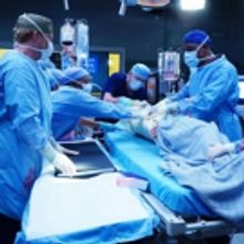 BWW Recap: GREY'S ANATOMY Takes Us Into The Room Where It Happens