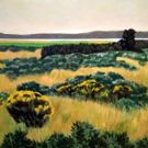 Slow Down and Cherish Gorgeous Landscapes at Canton Museum of Art