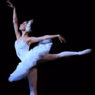 DECADES REWIND and SWAN LAKE Join State Theatre's 90th Season