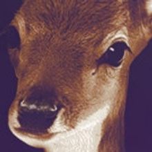 Mercy Street Theatre Company Kicks Off 16/17                               Season Wit