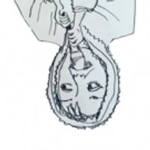 Extra Show Added for CEILING FRAN at Melbourne International Comedy Festival