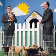 VIDEO: Stephen Colbert & Jim Parsons Use 'Alternative Facts' to Get Puppies Adopted