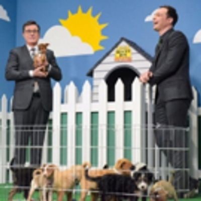 VIDEO: Stephen Colbert & Jim Parsons Use 'Alternative Facts' to Get Puppies Adopted
