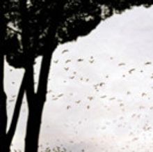 SaludArte Foundation and NAEMI Present VISIONARIES OF THE LIGHT