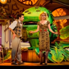 THE X FACTOR's Rhydian Roberts to Star in LITTLE SHOP OF HORRORS at Sheffield This…