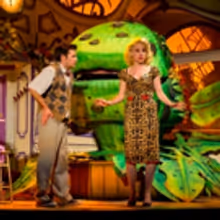 THE X FACTOR's Rhydian Roberts to Star in LITTLE SHOP OF HORRORS at Sheffield This…