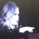 VIDEO: Adele Calls Out Rude Fan for Filming During Her Live Concert