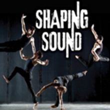 BWW Interviews: Kyle Robinson of SHAPING SOUND Talks Heading Back on Tour With a Bran
