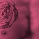Marisa Tomei and More Star in THE ROSE TATTOO, Beginning Tonight at Williamstown…