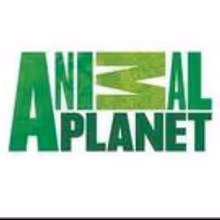 Animal Planet Premieres New Series DR. JEFF: ROCKY MOUNTAIN VET Tonight