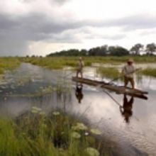 'IN AFRICA'S OKAVANGO' to Kick Off National Geographic Live Series at Benaroya Hall, 