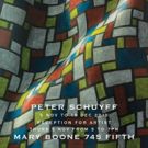 Mary Boone Gallery to Display New Peter Schuyff Exhibit, Today