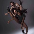 BWW Review: MORTAL CONDITION Challenges The Secondary Role Of Females In Games
