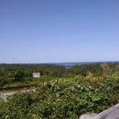 Summer Stages: Long Island Spring/Summer 2017 Preview