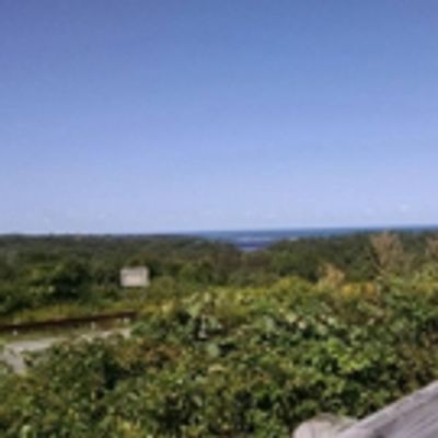 Summer Stages: Long Island Spring/Summer 2017 Preview
