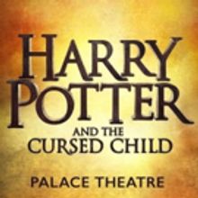 Live Owls Removed from Production of HARRY POTTER AND THE CURSED CHILD