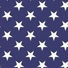 Yerba Buena Center for the Arts presents THE 2017 POETIC ADDRESS TO THE NATION