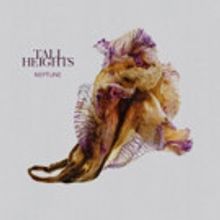 NPR Premieres Tall Heights 'IInfrared' Lyric Video
